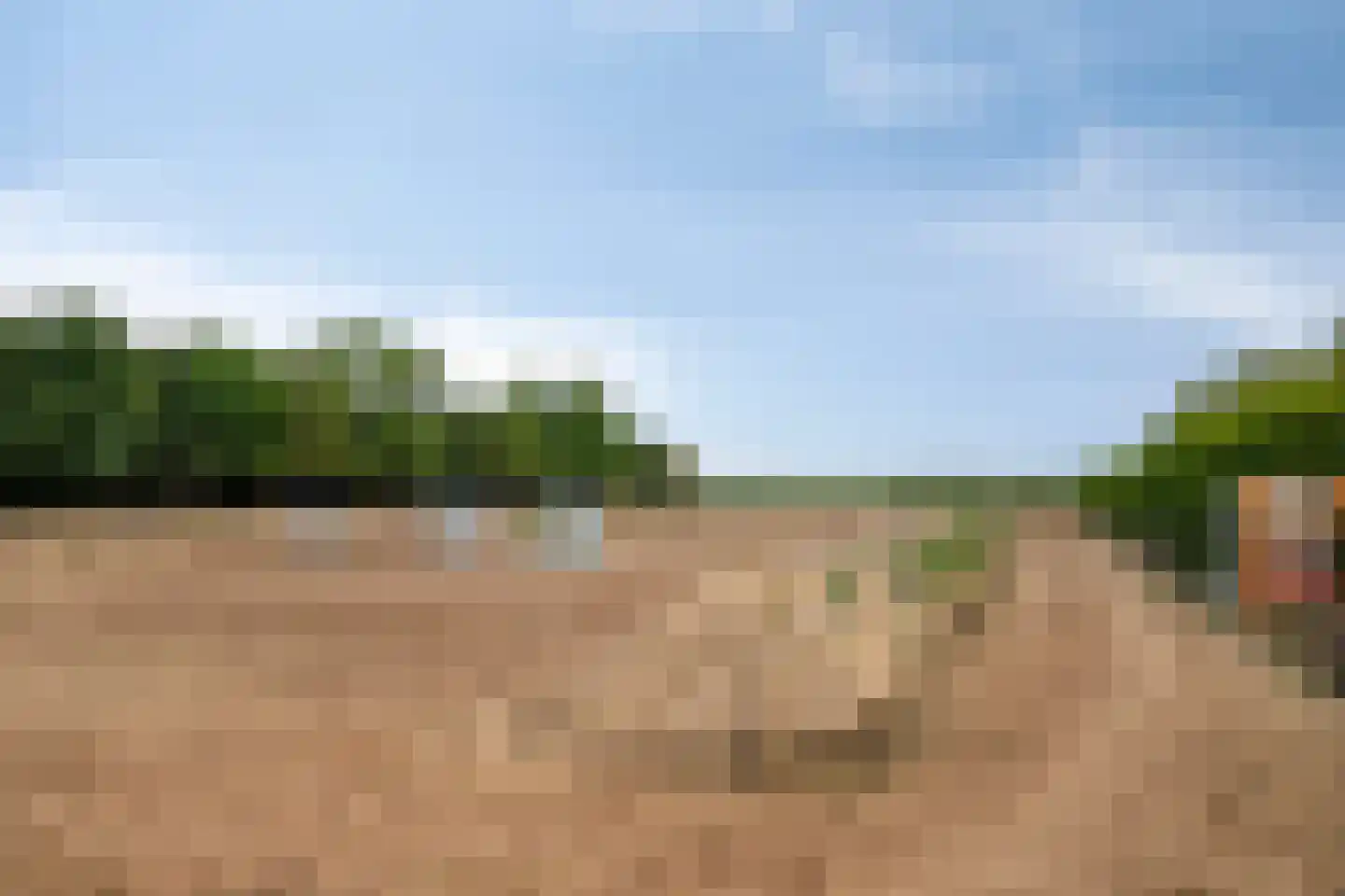 Graafjansdijk B 87 Westdorpe thumbnail 4