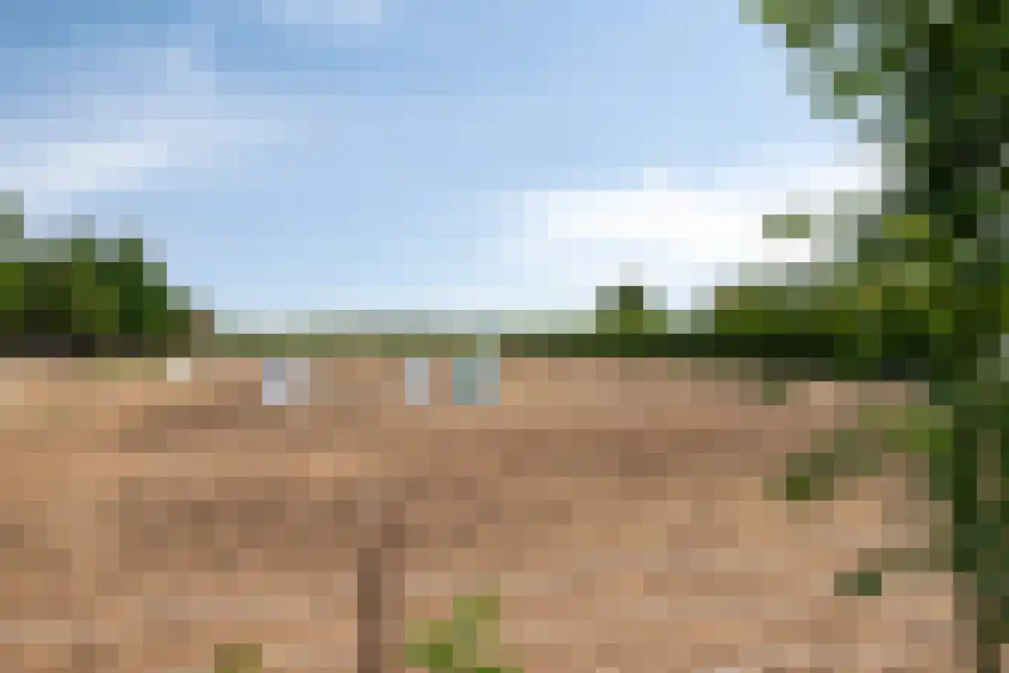 Graafjansdijk B 87 Westdorpe thumbnail 41