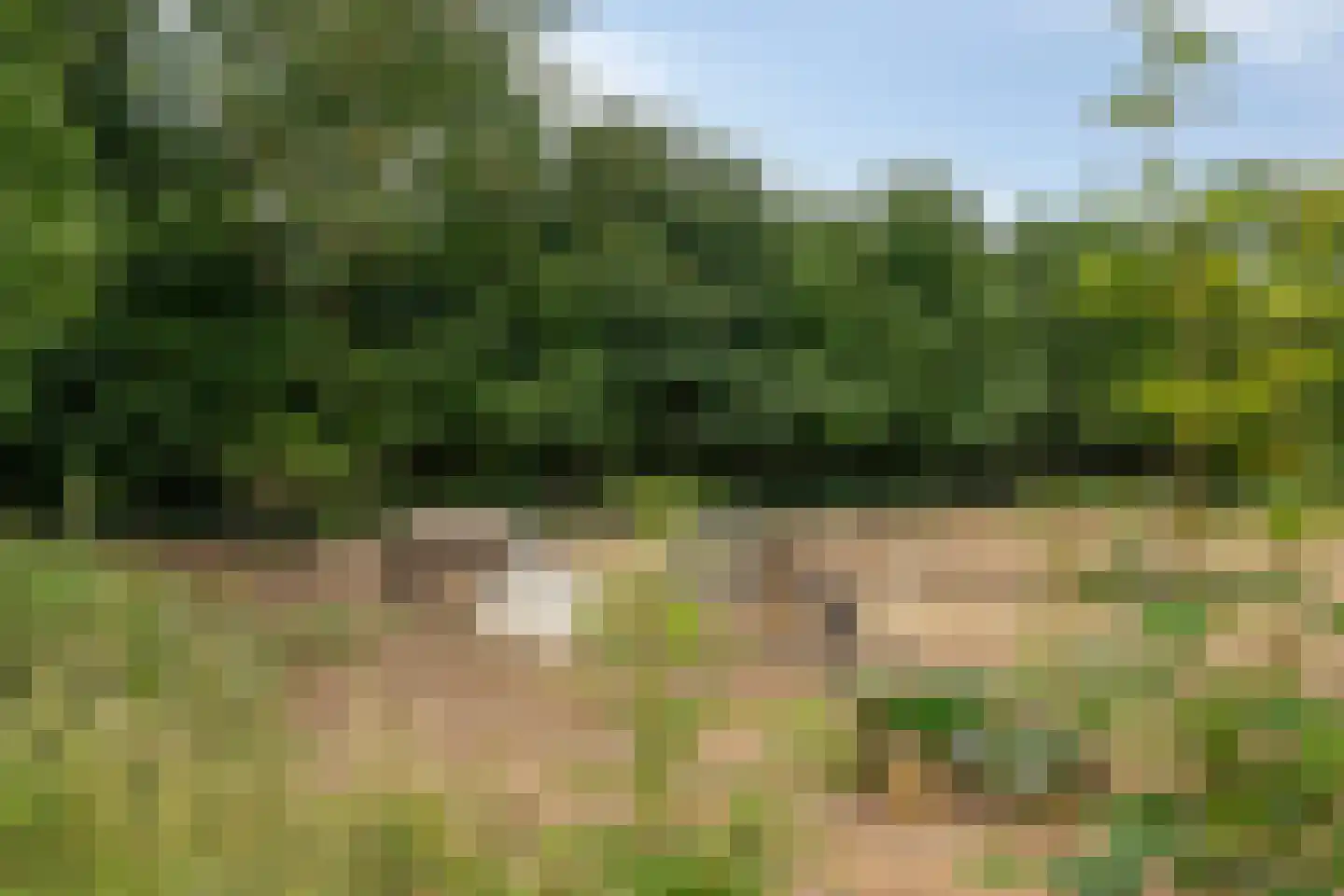 Graafjansdijk B 87 Westdorpe thumbnail 42
