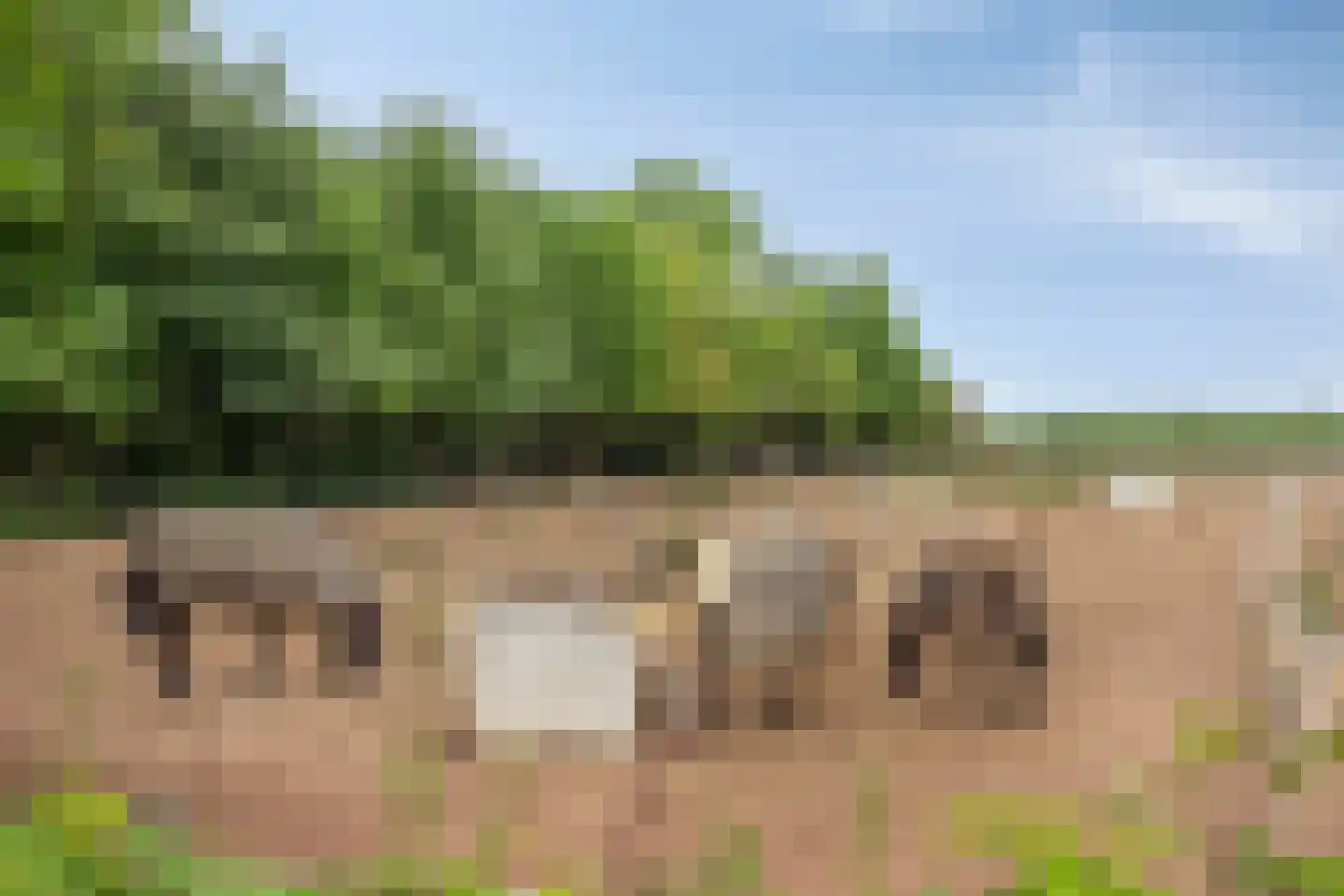 Graafjansdijk B 87 Westdorpe thumbnail 43