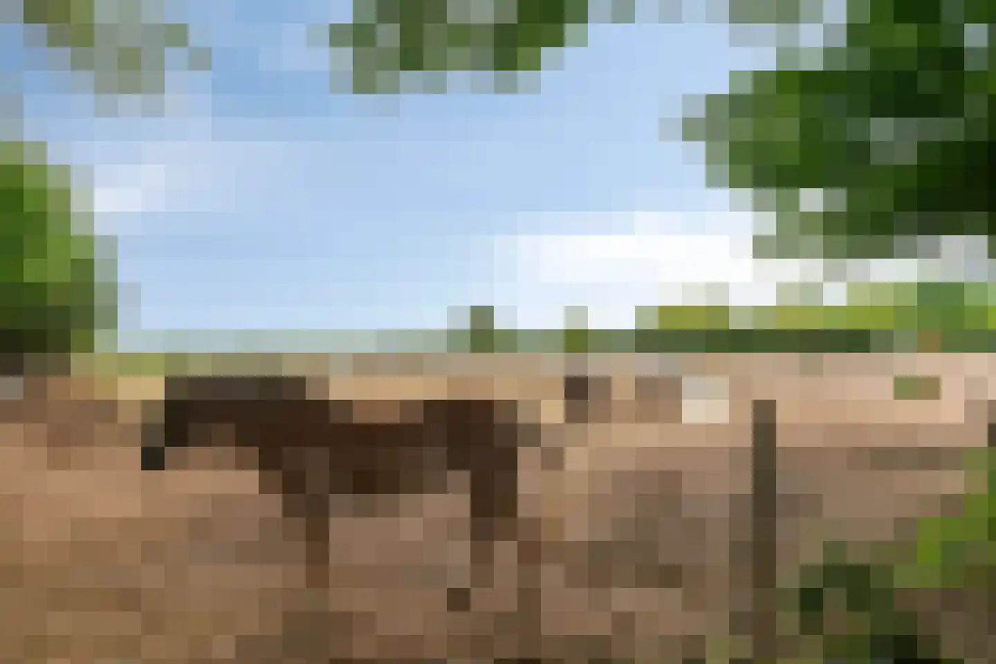 Graafjansdijk B 87 Westdorpe thumbnail 44