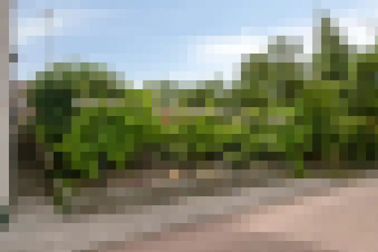 Graafjansdijk B 87 Westdorpe thumbnail 46