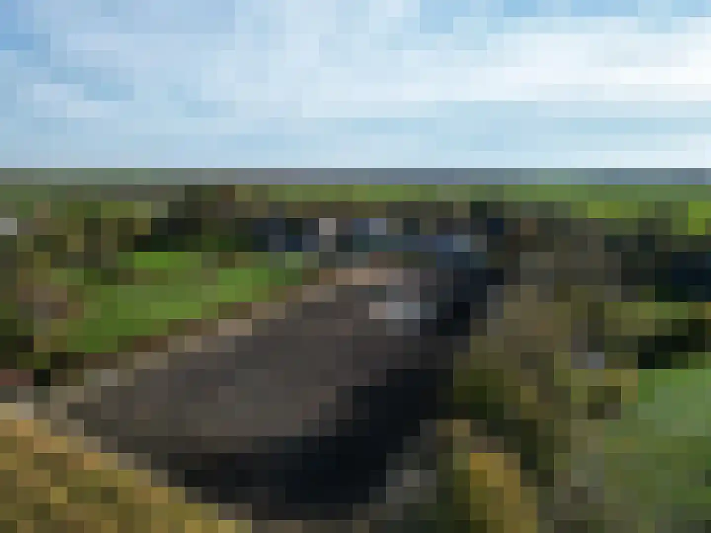 Graafjansdijk B 87 Westdorpe thumbnail 49