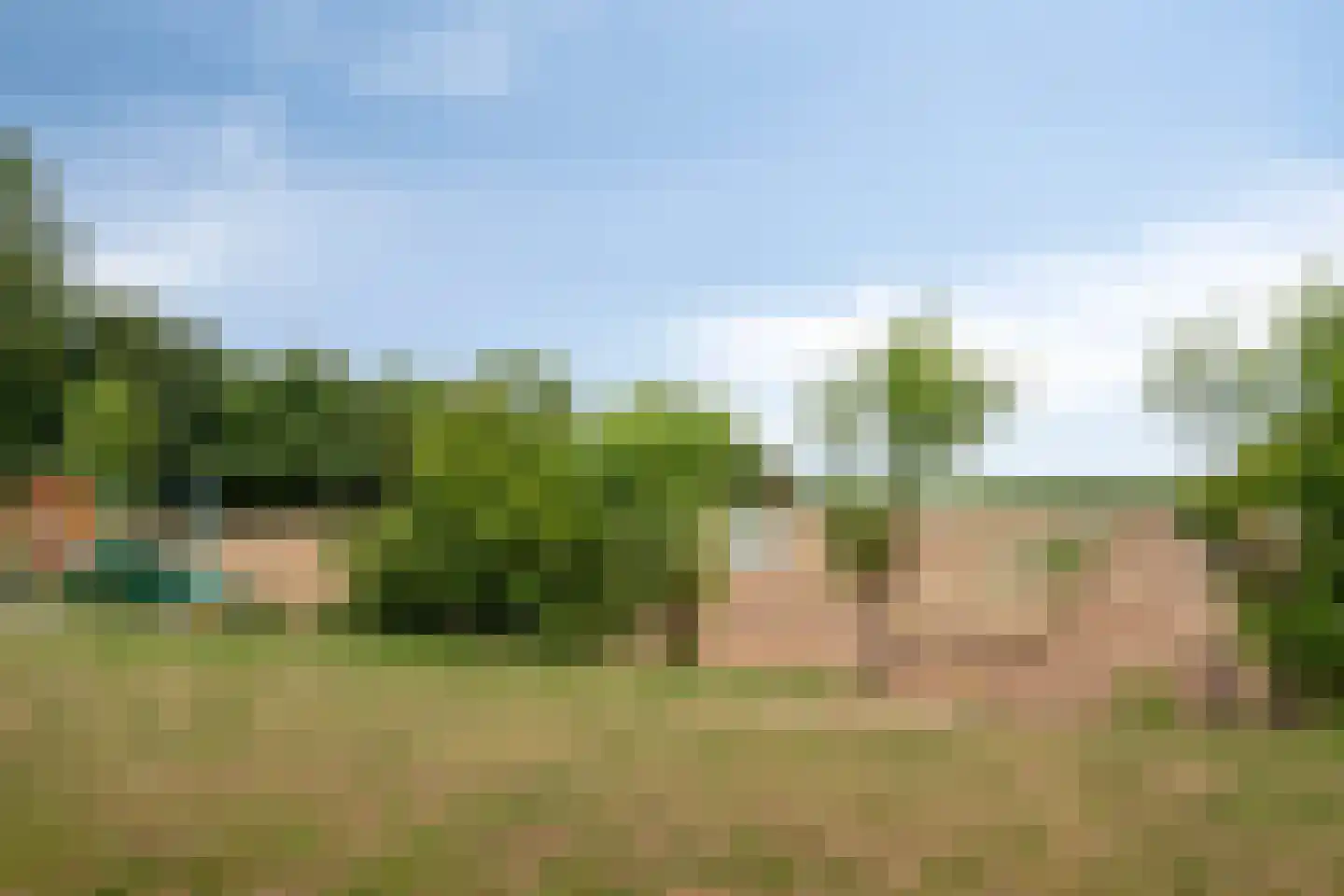 Graafjansdijk B 87 Westdorpe thumbnail 5