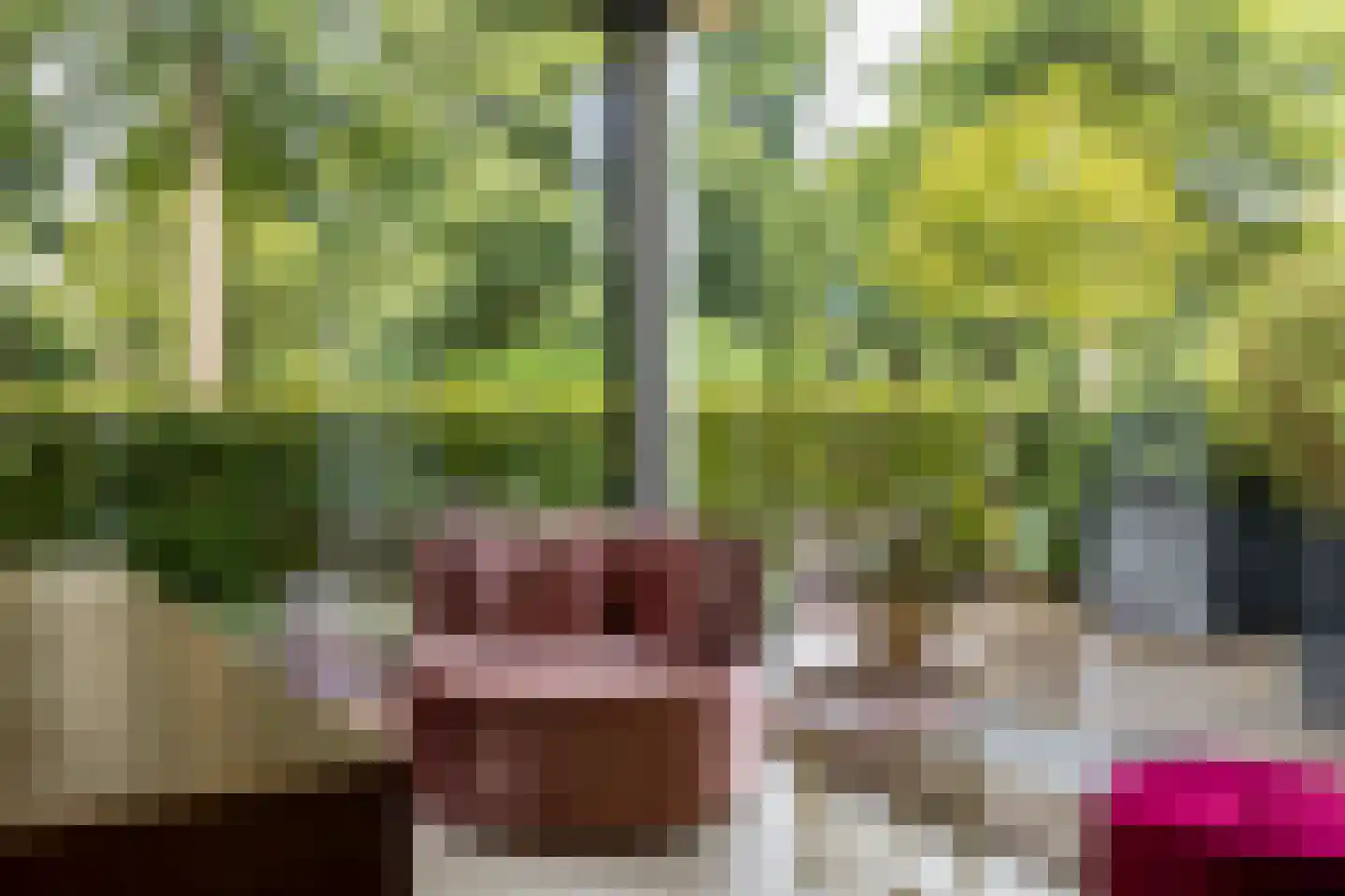 Graafkade 9 Krimpen aan den IJssel thumbnail 11