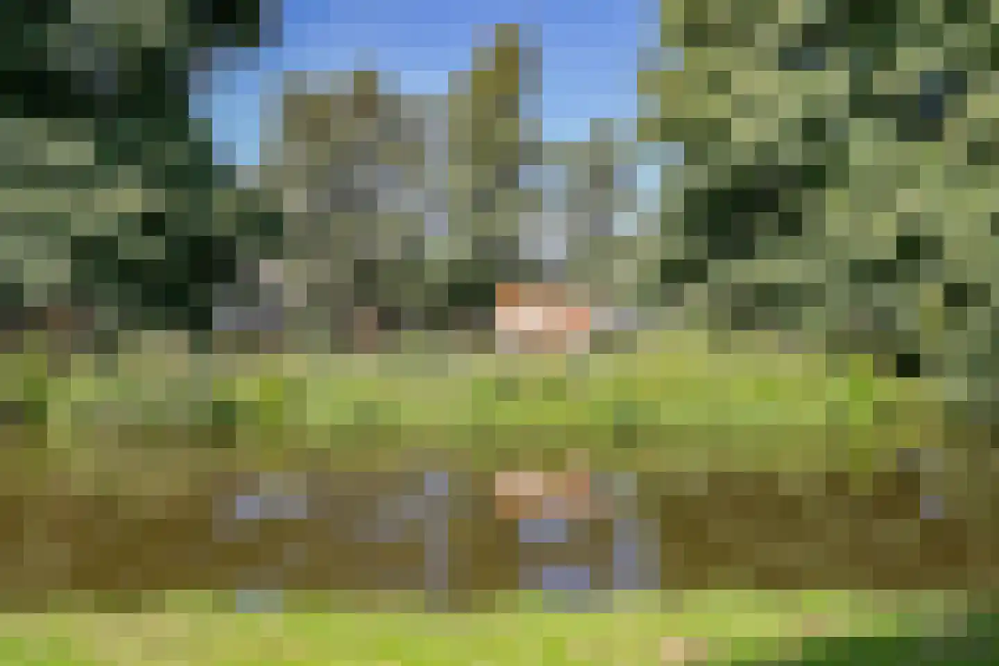 Graafkade 9 Krimpen aan den IJssel thumbnail 12