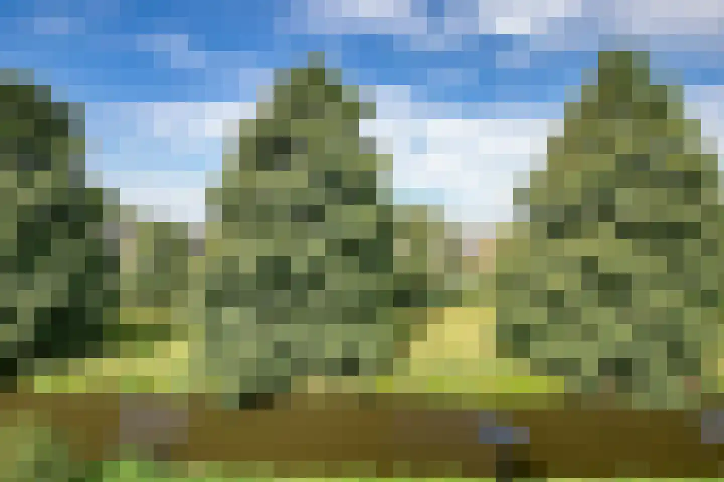 Graafkade 9 Krimpen aan den IJssel thumbnail 25
