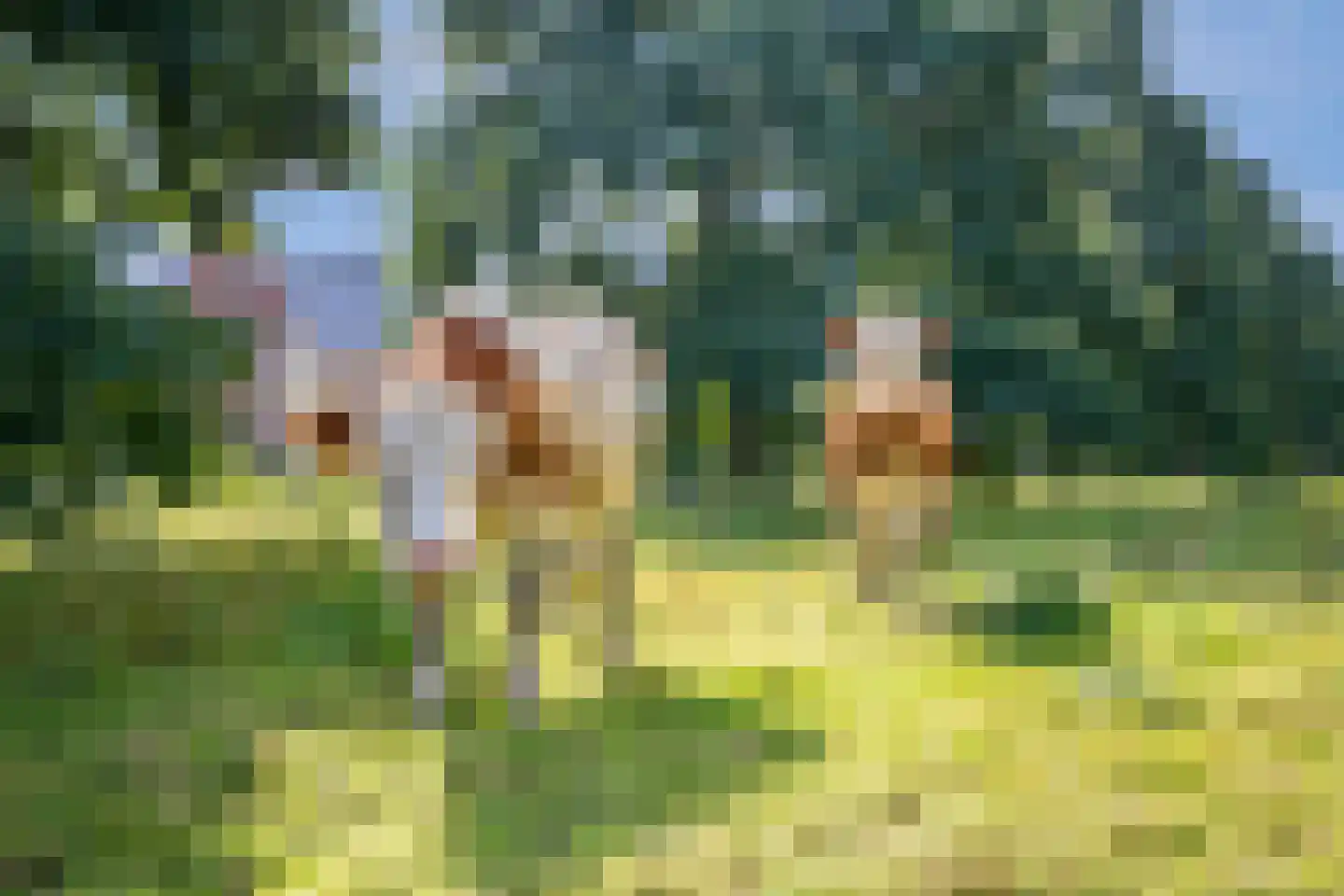 Graafkade 9 Krimpen aan den IJssel thumbnail 4