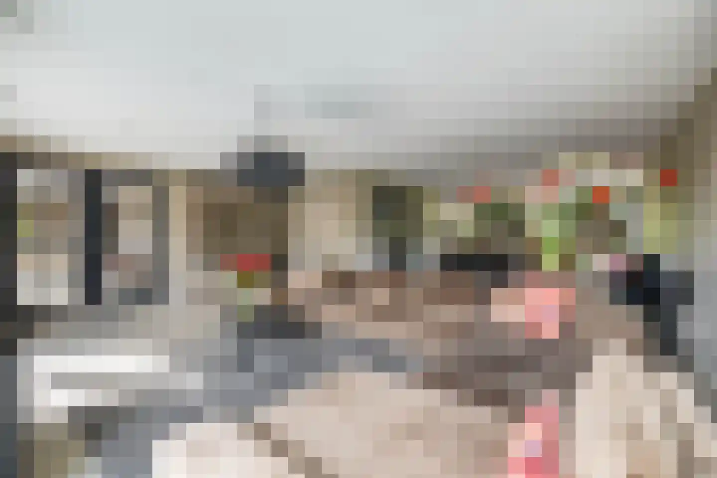 Graafkade 9 Krimpen aan den IJssel thumbnail 6