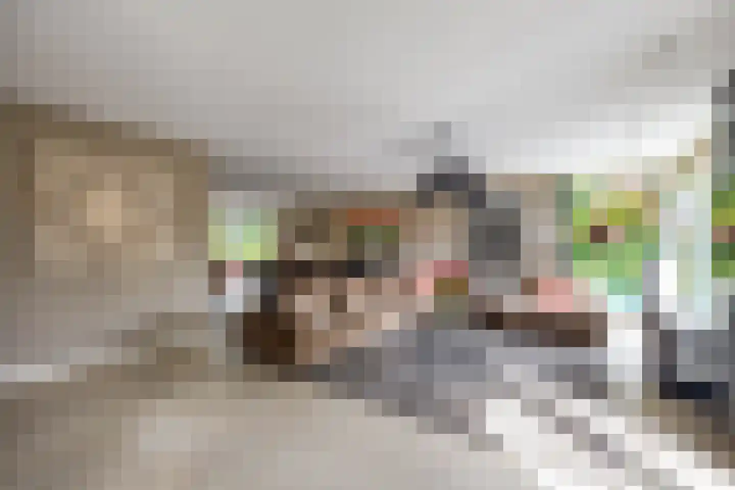 Graafkade 9 Krimpen aan den IJssel thumbnail 7