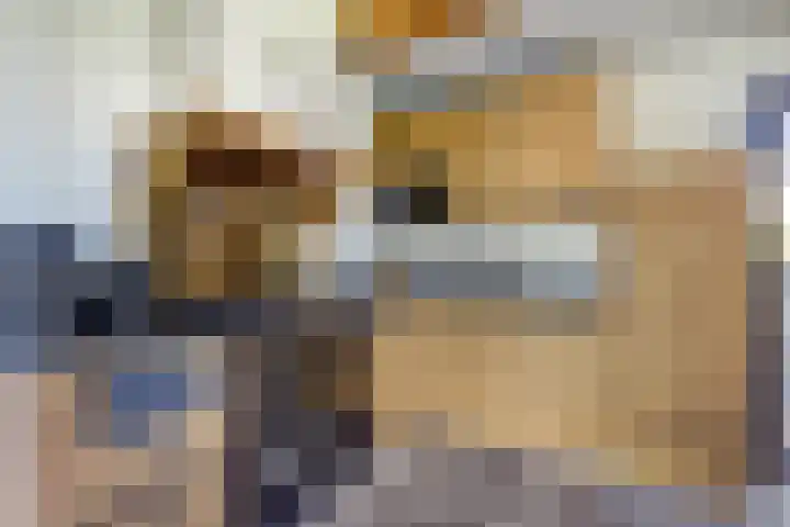 Graafland 14 a Groot-Ammers thumbnail 10
