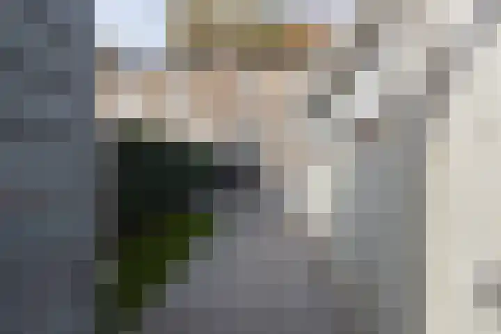 Graafland 14 a Groot-Ammers thumbnail 11