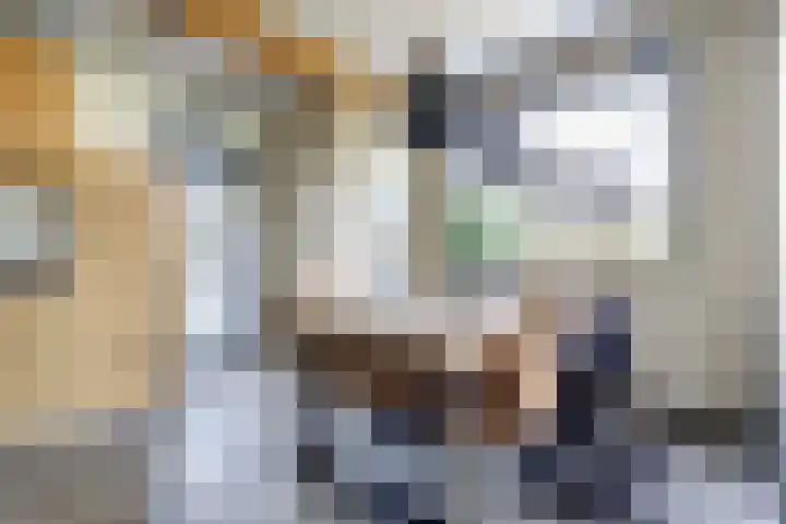 Graafland 14 a Groot-Ammers thumbnail 14