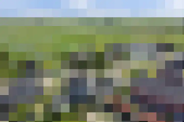 Graafland 14 a Groot-Ammers foto 2