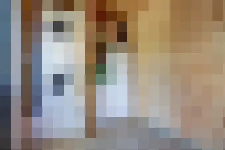 Graafland 14 a Groot-Ammers thumbnail 33