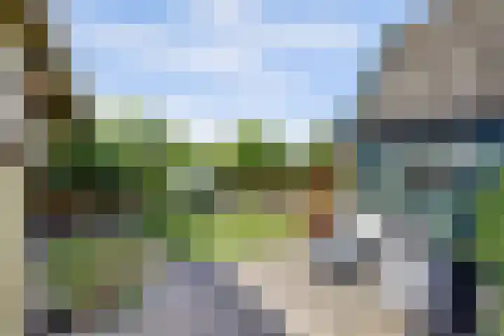 Graafland 14 a Groot-Ammers thumbnail 35