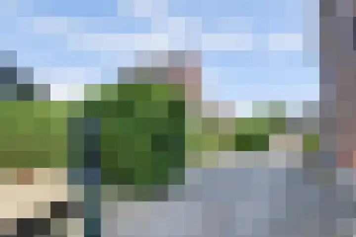 Graafland 14 a Groot-Ammers thumbnail 41