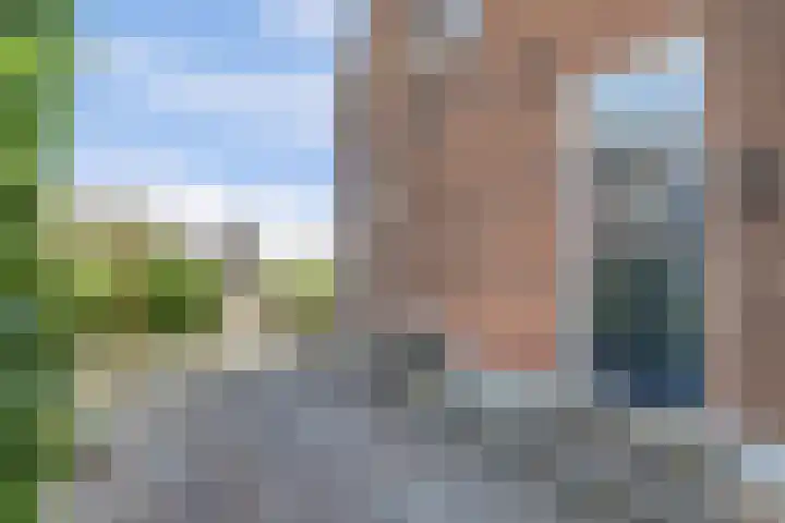 Graafland 14 a Groot-Ammers thumbnail 42