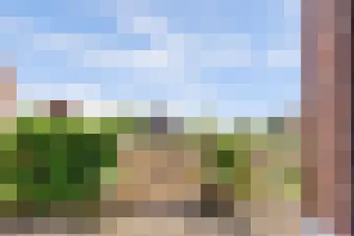 Graafland 14 a Groot-Ammers thumbnail 43