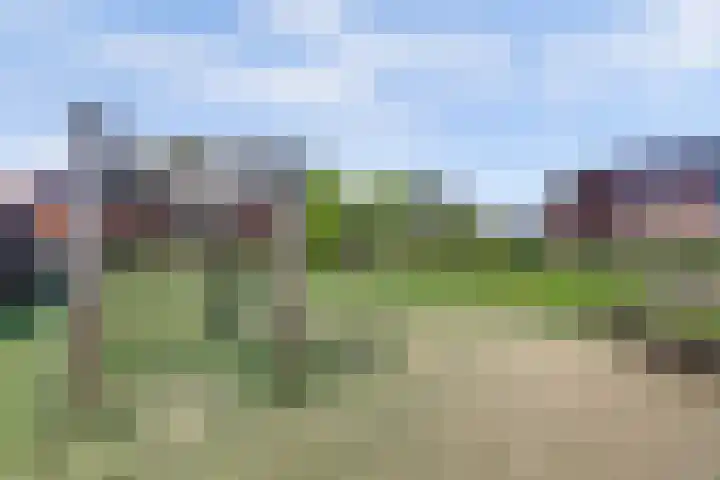 Graafland 14 a Groot-Ammers thumbnail 47
