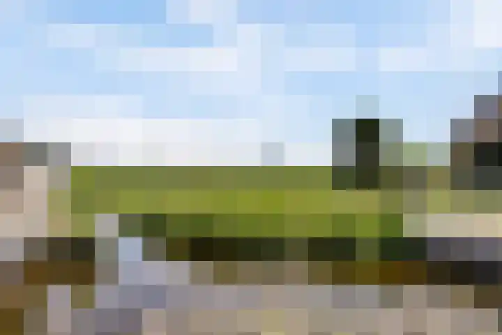 Graafland 14 a Groot-Ammers thumbnail 49