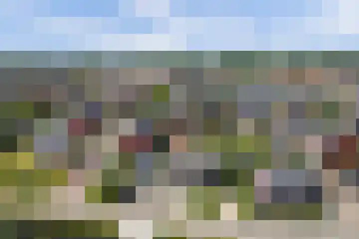 Graafland 14 a Groot-Ammers thumbnail 52