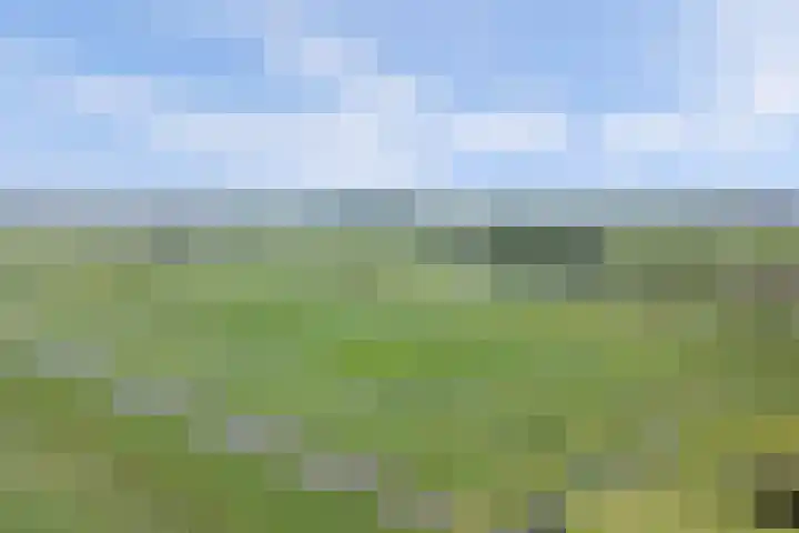 Graafland 14 a Groot-Ammers thumbnail 53