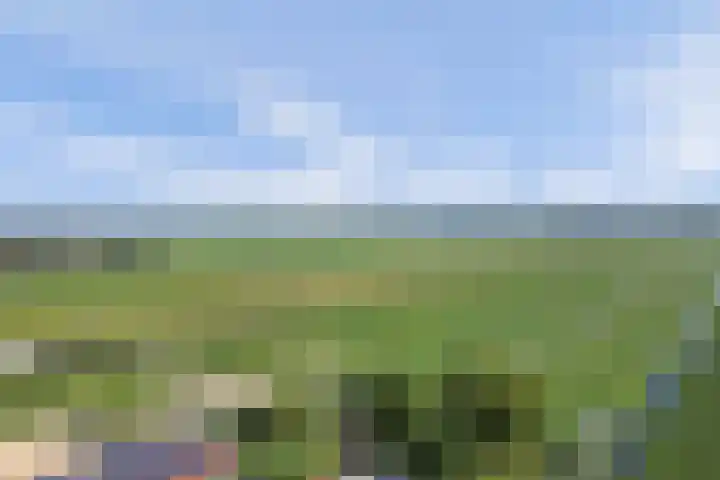 Graafland 14 a Groot-Ammers thumbnail 54