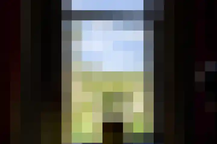 Graafland 14 a Groot-Ammers thumbnail 6