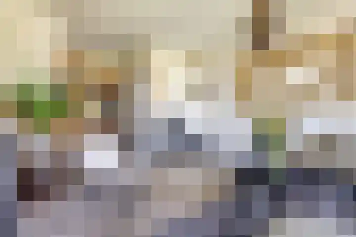 Graafland 14 a Groot-Ammers thumbnail 7