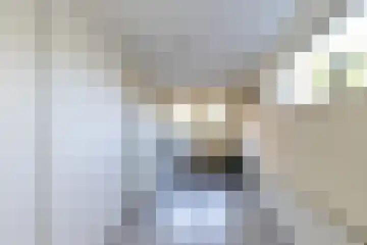 Graafland 17 a Groot-Ammers thumbnail 15