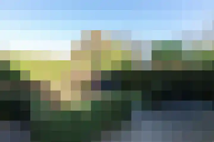 Graafland 17 a Groot-Ammers thumbnail 32
