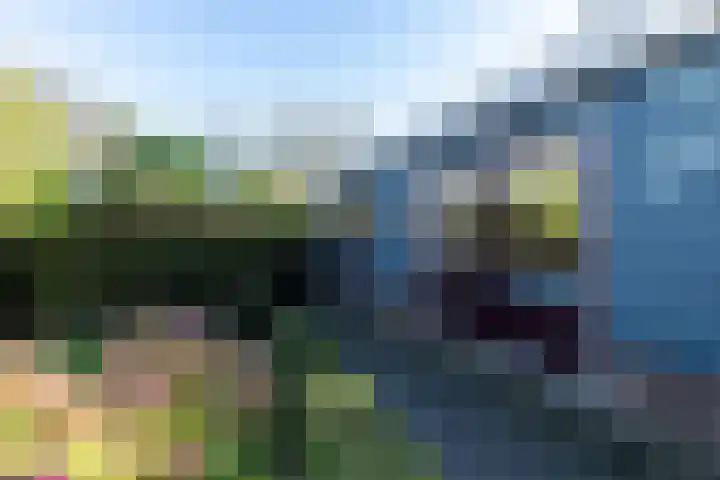 Graafland 17 a Groot-Ammers thumbnail 35