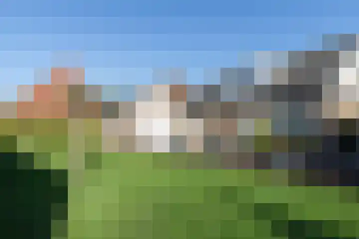 Graafland 17 a Groot-Ammers thumbnail 36