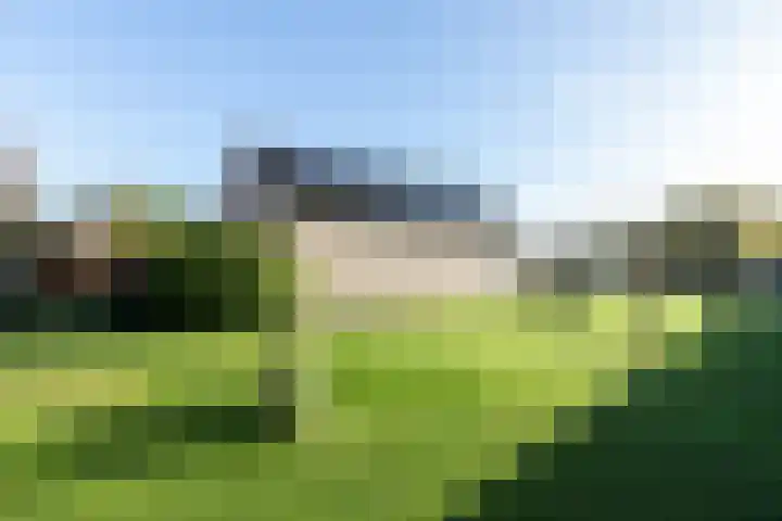 Graafland 17 a Groot-Ammers thumbnail 37