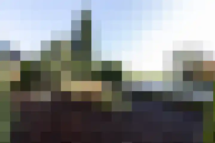 Graafland 17 a Groot-Ammers thumbnail 41