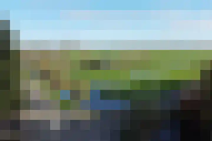 Graafland 17 a Groot-Ammers thumbnail 42