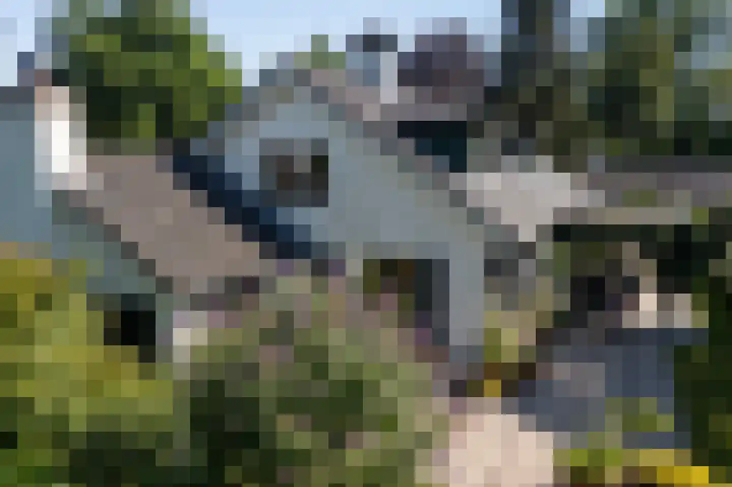 Graafland 30 Laren thumbnail 21