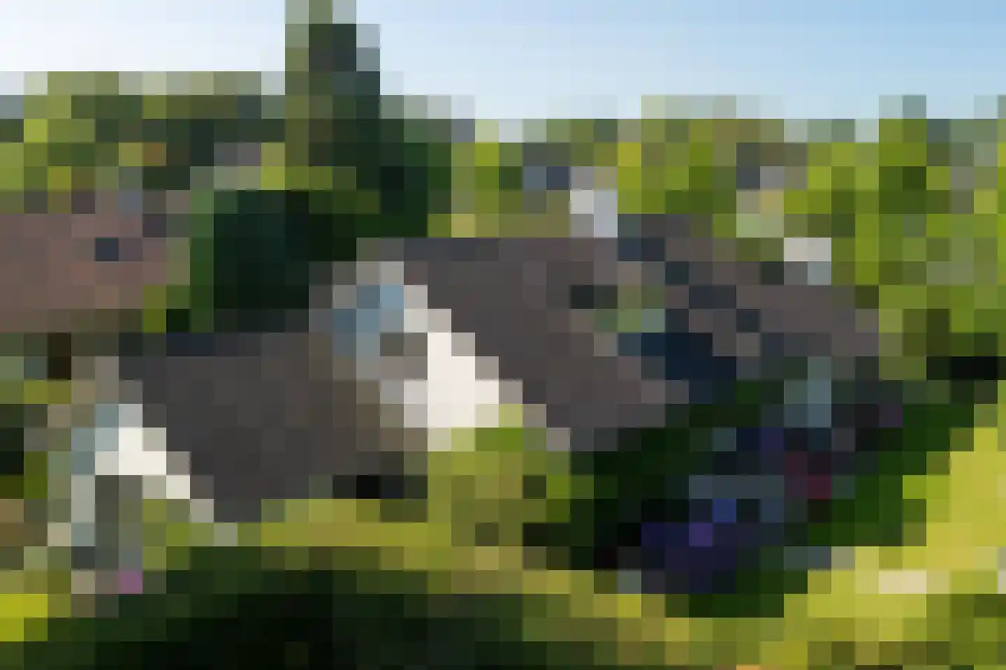 Graafland 30 Laren thumbnail 4