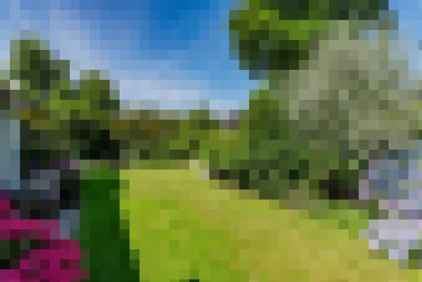 Graafland 30 Laren thumbnail 45