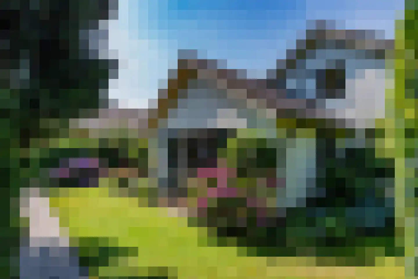 Graafland 30 Laren thumbnail 47