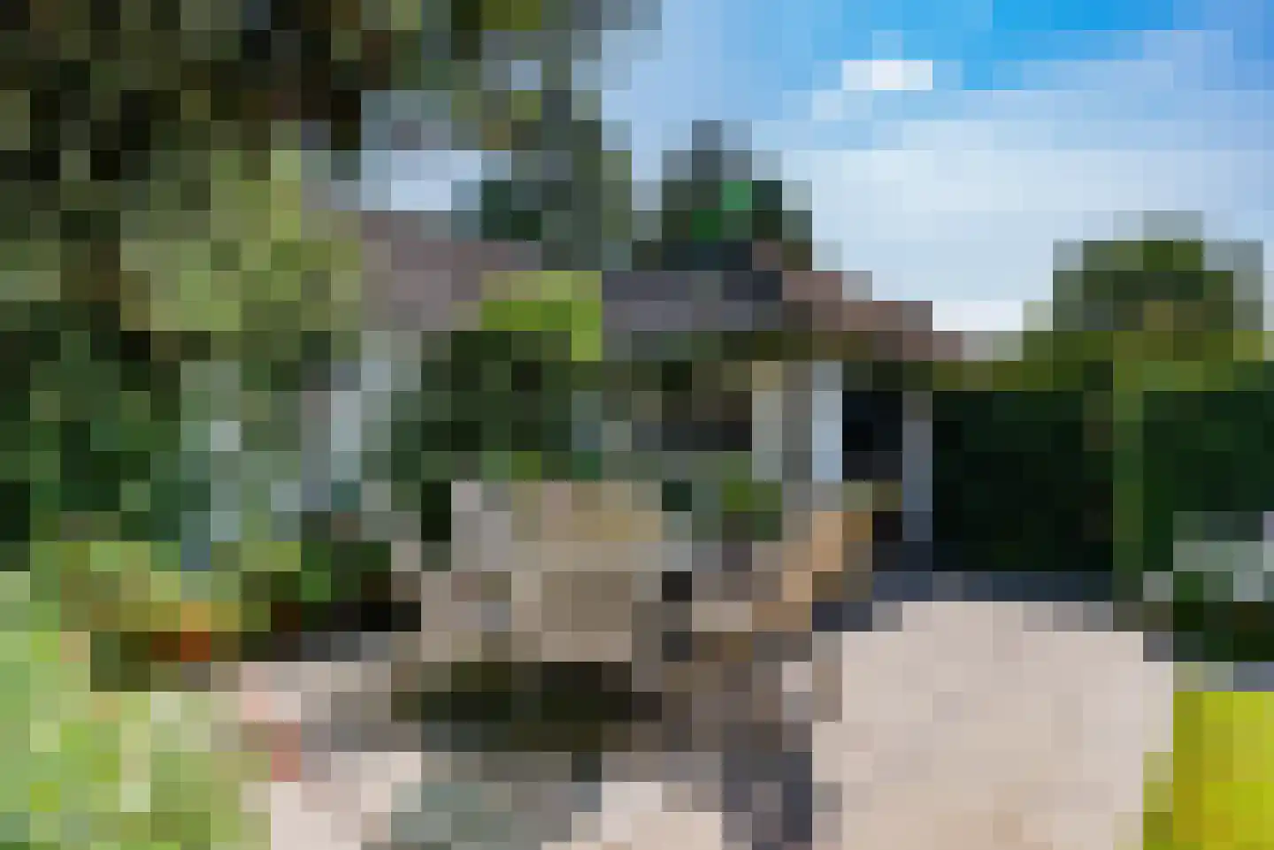 Graafland 30 Laren thumbnail 48
