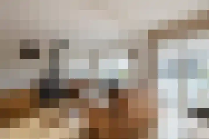 Graafland 31 Groot-Ammers thumbnail 11