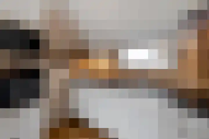 Graafland 31 Groot-Ammers thumbnail 17