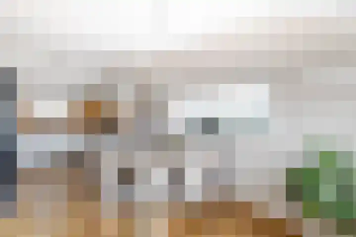 Graafland 31 Groot-Ammers thumbnail 19