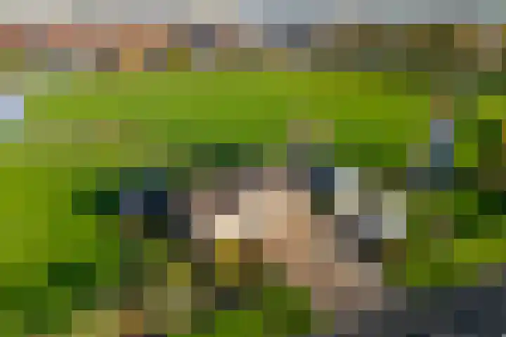 Graafland 31 Groot-Ammers foto 2