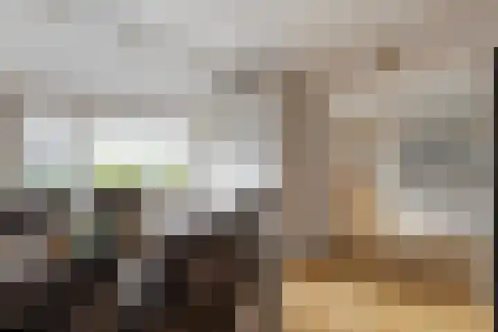 Graafland 31 Groot-Ammers thumbnail 20