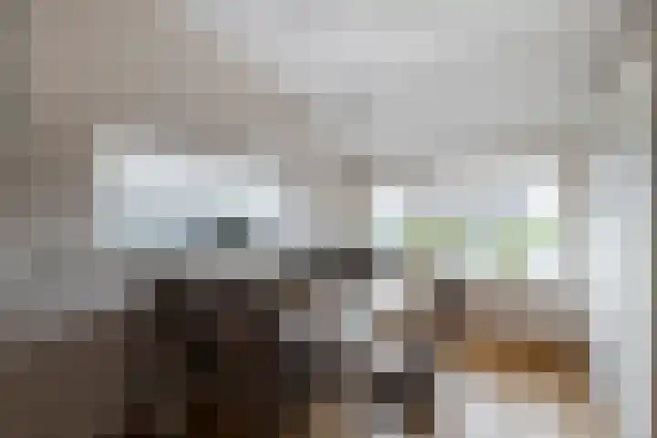 Graafland 31 Groot-Ammers thumbnail 21