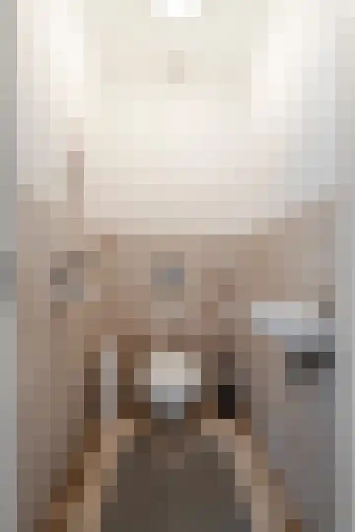 Graafland 31 Groot-Ammers thumbnail 26