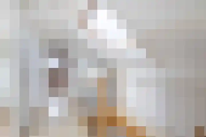 Graafland 31 Groot-Ammers thumbnail 31